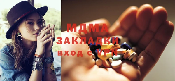 индика Чердынь