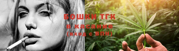гидра Дмитровск
