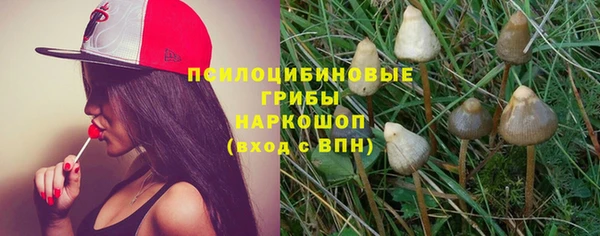 каннабис Дмитров