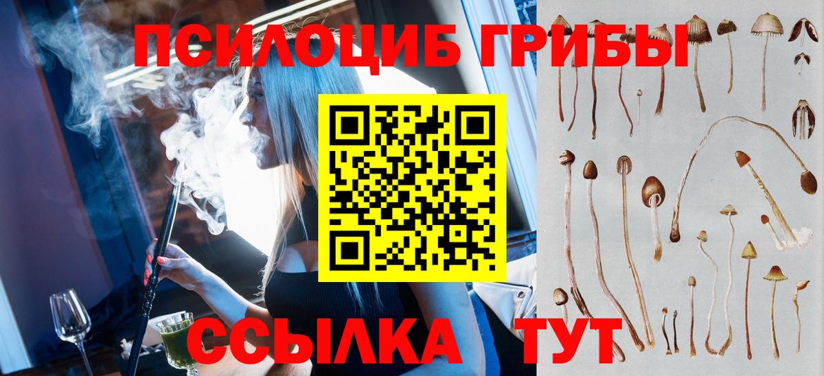 Галлюциногенные грибы мицелий Буйнакск